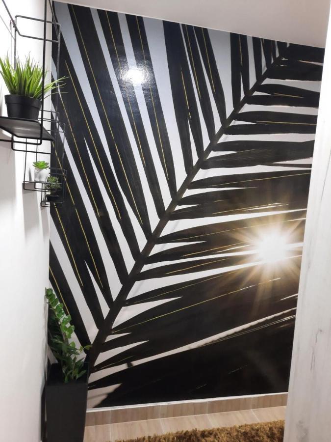 Apartament Dzoni Sarajewo Zewnętrze zdjęcie